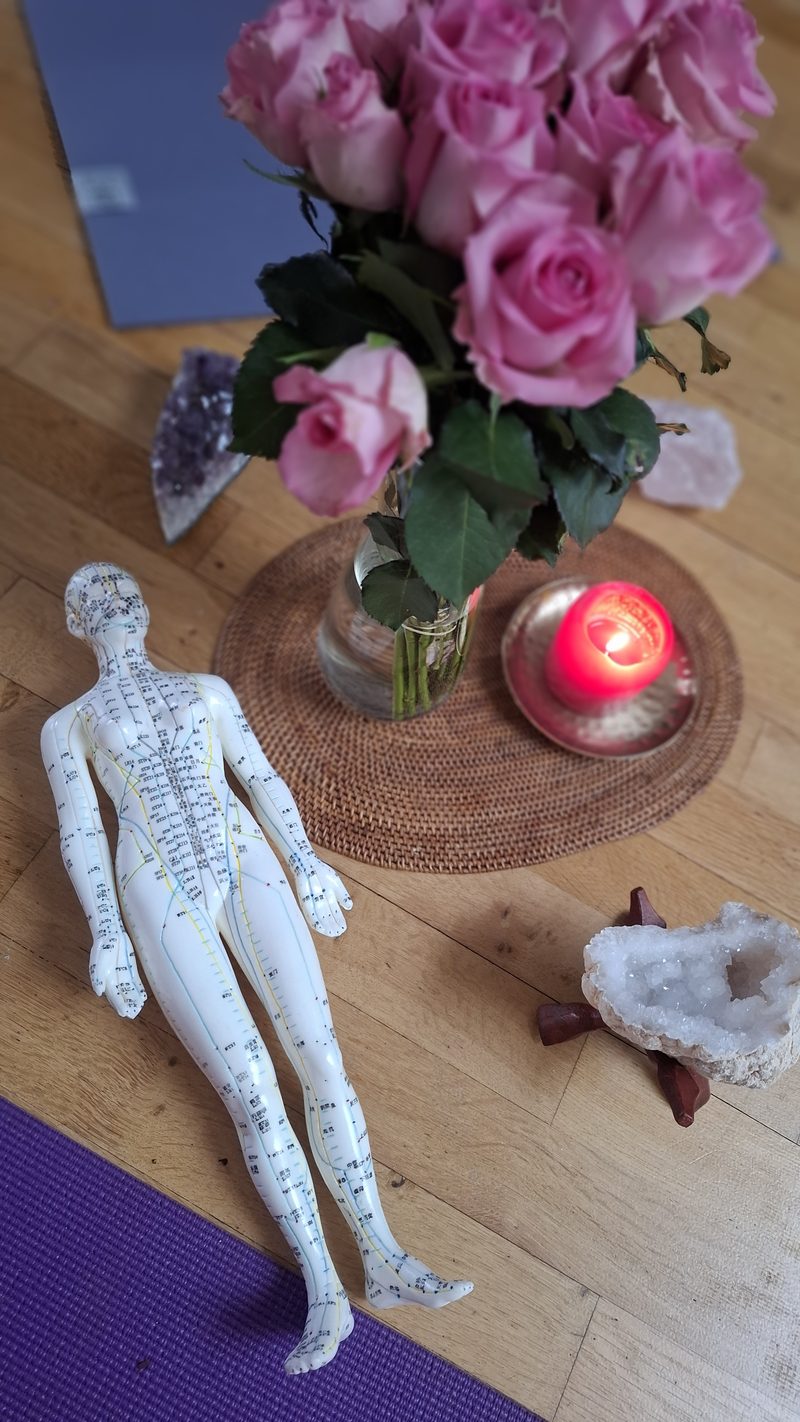 Een anatomisch model tussen roze rozen en een brandende kaars